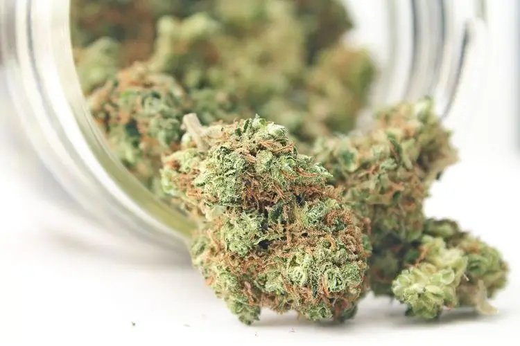 Welches Weed ist das stärkste?