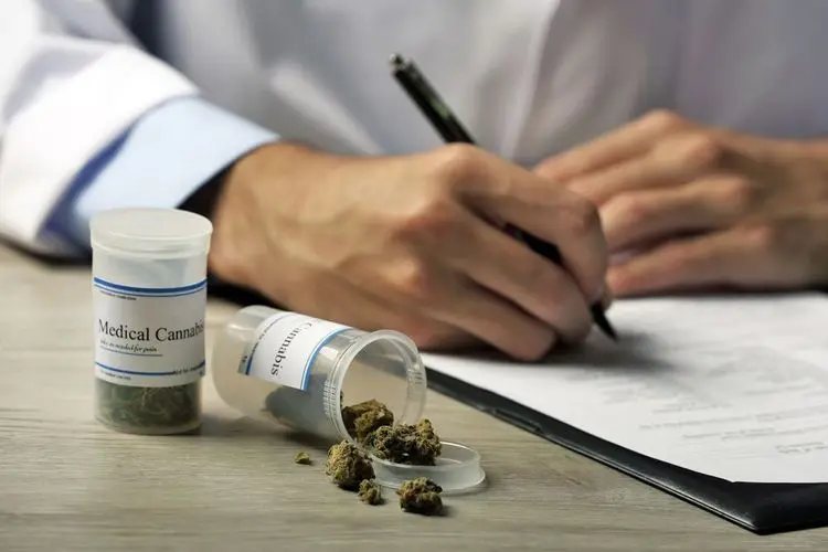 70 Prozent der Mediziner schreiben Cannabis eine Heilwirkung zu