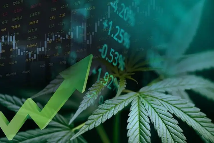 Sucht sich die Reddit-Gemeinde jetzt Cannabisaktien als nächstes Ziel aus?