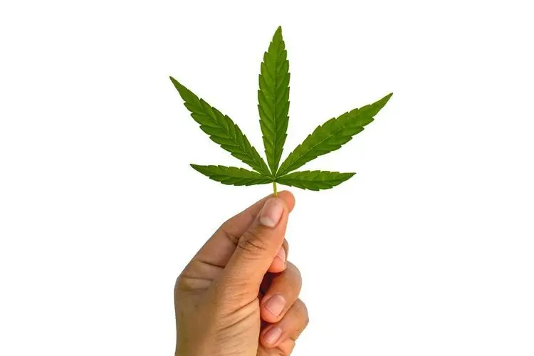 Super Bowl ohne Cannabiswerbung